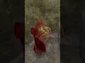 How to Parry rivers of blood and break Elden Ring