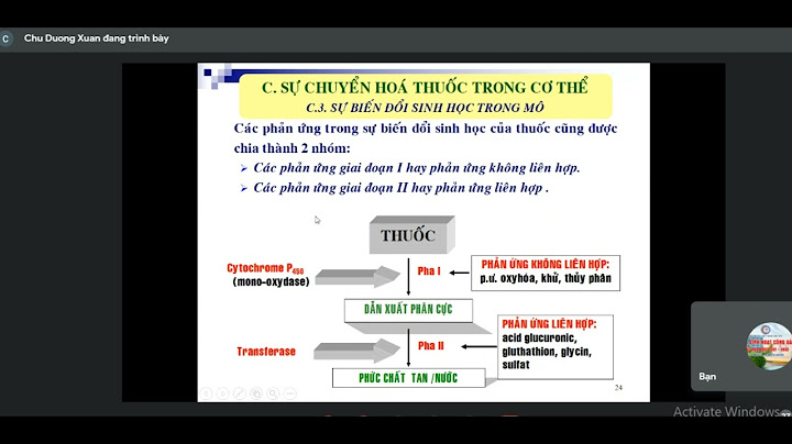 Hiệu quả hấp thu chuyển hóa của enrofloxacin năm 2024