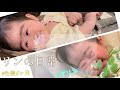 【リンの日常】ニコニコなリン/グズグズなリン/テープチョキチョキ/全前脳胞症/口唇裂/医療的ケア児