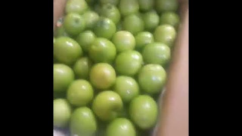 Box packing of apple ber for export | #export #agriculture #import #shorts #viralvideo #commodity