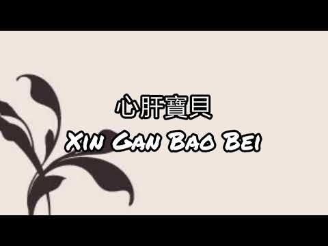 任賢齊 Richie Ren 心肝寶貝 Xin Gan Bao Bei