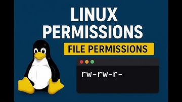 Linux Basics: Permission