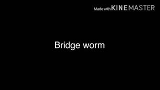 Voice lines for cartoon cat and bridge worm julian marrero’s new
video