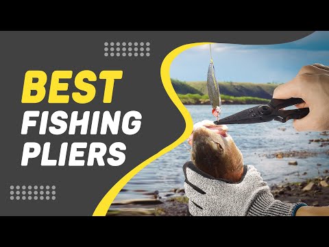 Best Fishing Pliers in 2022 – Our Top Choice! 
