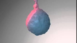 Testing Maya particles and fluid dynamics