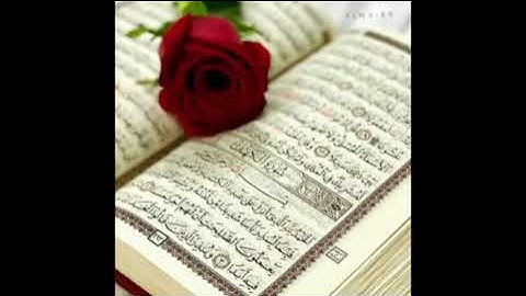 سورة الكهف بدون حقوق النشر و التوزيع