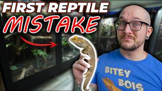 First Pet Reptile Mistakes YOU Need To Avoid! Do Not Get A Pet Ball Python Until You Watch This