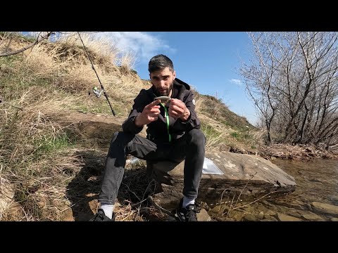 საუბრები ქარიყლაპიაზე ასევე რა ტიპის სატყუარებს ვიყენებ მე მის დასაჭერად სხვადასხვა სახის ვობლერები.