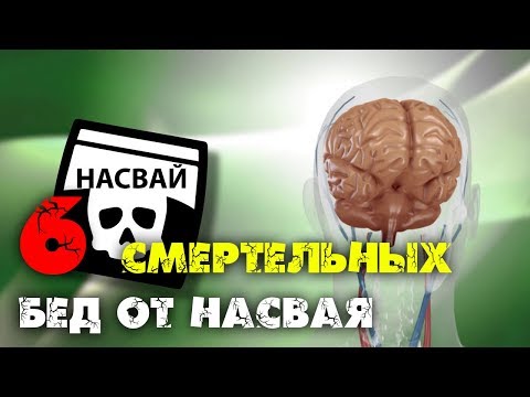 6 смертельных бед от насвая