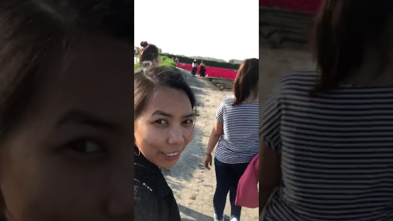 Flower Farm in Taiwan