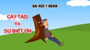 CÂY TÁO VÀ SỰ BIẾT ƠN | HÃY QUAN TÂM CHA MẸ NHIỀU HƠN TRƯỚC KHI QUÁ MUỘN
