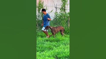 Overcome obstacles but unlimited taste 4