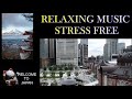 Relaxing musicstress free  livestreaming
