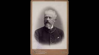 Pëtr Ilič Čajkovskij - The Nutcracker Suite Act I, No 3 Dance Of The Sugar Plum Fairy