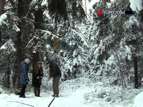 Отдых В Лесу На Новый Год Отдых В Лесу На Новый Год