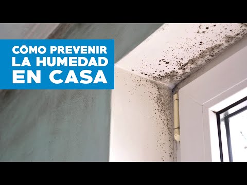 Vídeo: Com Evitar Que Un Home Marxi