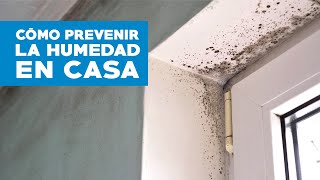Causas por las que tu pared tiene humedad - MN Home Center MN Home