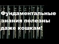 Фундаментальные знания полезны даже кошкам!