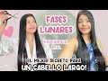 MI CABELLO CRECIÓ COMO LOCO CON LAS FASES LUNARES- TE CUENTO MI EXPERIENCIA| Aleja Mora