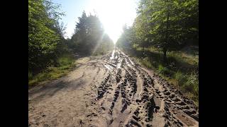 Wandelon 2026 — Dag 4: Olterterp naar Wijnjewoude / bakkeveen (17 km)