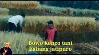 Bowo konco tani (wong ndeso)  official video hp