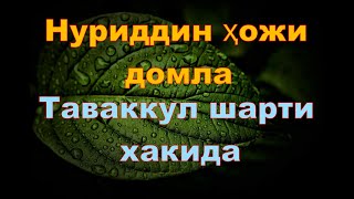 Нуриддин Ҳожи Домла  - Таваккул Шарти Хакида