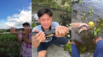 Câu cá lóc mùa mưa hồi hộp táp như mưa giựt cháy nách | Đỗ Đạt Fishing