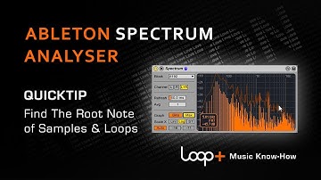 Find the Root Key of any Loop, Sample, or One Shot - Loop+ Quick Tip