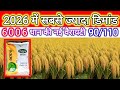 5 Highest Yielding Rice Varieties For 2026 Best Rice Varieties 2026 Rice Farming 