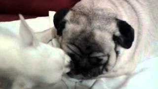 2014 m. Rugpj??io 11 d. 22:08