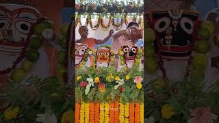 jagannath Dev San Yatra ♥️ #shortvideo #shorts #jagannath screenshot 1