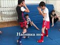 Набивка ног в кикбоксинге | kickboxing | glory | mma | 2017