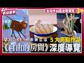 只能放「一顆草莓」的蛋糕？椅子墊變成的猴子？帶你潛入 NOKE忠泰樂生活最獵奇的藝術角落！《自由的房間》展覽 5 大亮點作品深度導覽 | 鮮貨報報 | 壹起FUN