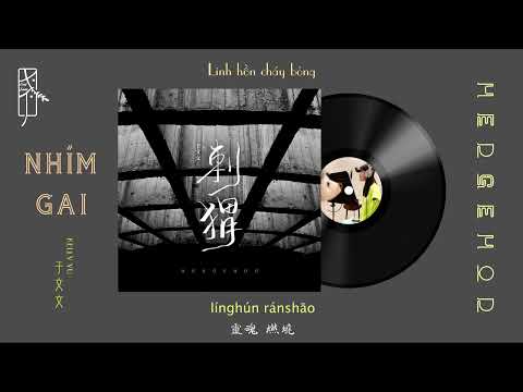 Video [Vietsub] NHÍM GAI【刺猬】HEDGEHOG 于文文 Kelly Yu - youtube