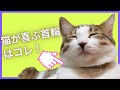 【おすすめの猫首輪３選】猫に優しい素材でおしゃれ！