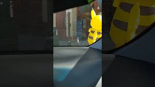Pikachu Begs For Money