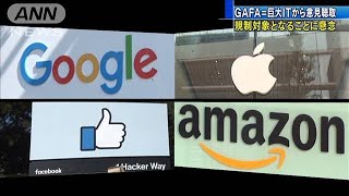 オンライン取引の規制強化　GAFAの一部から懸念の声(19/11/12)