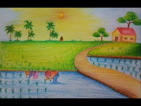 วาดรูปชาวนา how to draw rice plantation scenery