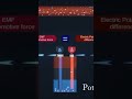 electric circuit