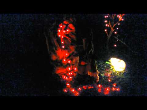 Chrissy Capellaro's Haunted Yard 2015