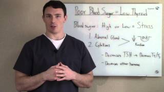 Reasons why you still have thyroid symptoms: #4 Poor Blood Sugars