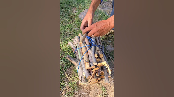 Genius Rope Trick To Carry Logs🪵