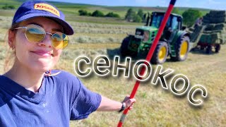 СЕНОКОС 2023 | Заготовка корма. Силос.  Наша жизнь в деревне #сенокос #деревенскаяжизнь