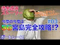 【競艇・ボートレース】借金返済ストーリー再始動【後半】