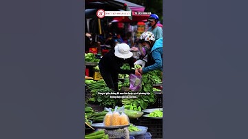 Nguyên nhân khiến ùn tắc giao thông tăng cao ở TP HCM | TVPL