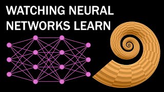 watching neural networks learn