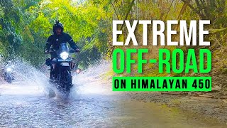 Himalayan 450 Forest ride  Can it Handle Extreme Offroad?