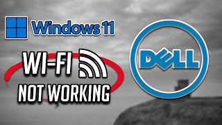 fix hp wi-fi not working in windows 11 [2024]