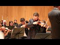 Respighi, Violin Concerto "all'Antica", Chamber Orchestra of New York - S. Di Vittorio