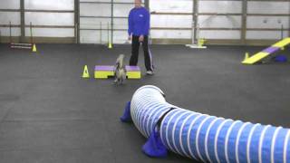20110402 Dudley TDAA Std.MP4
